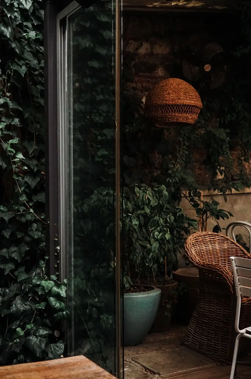 Wicker chair by the window